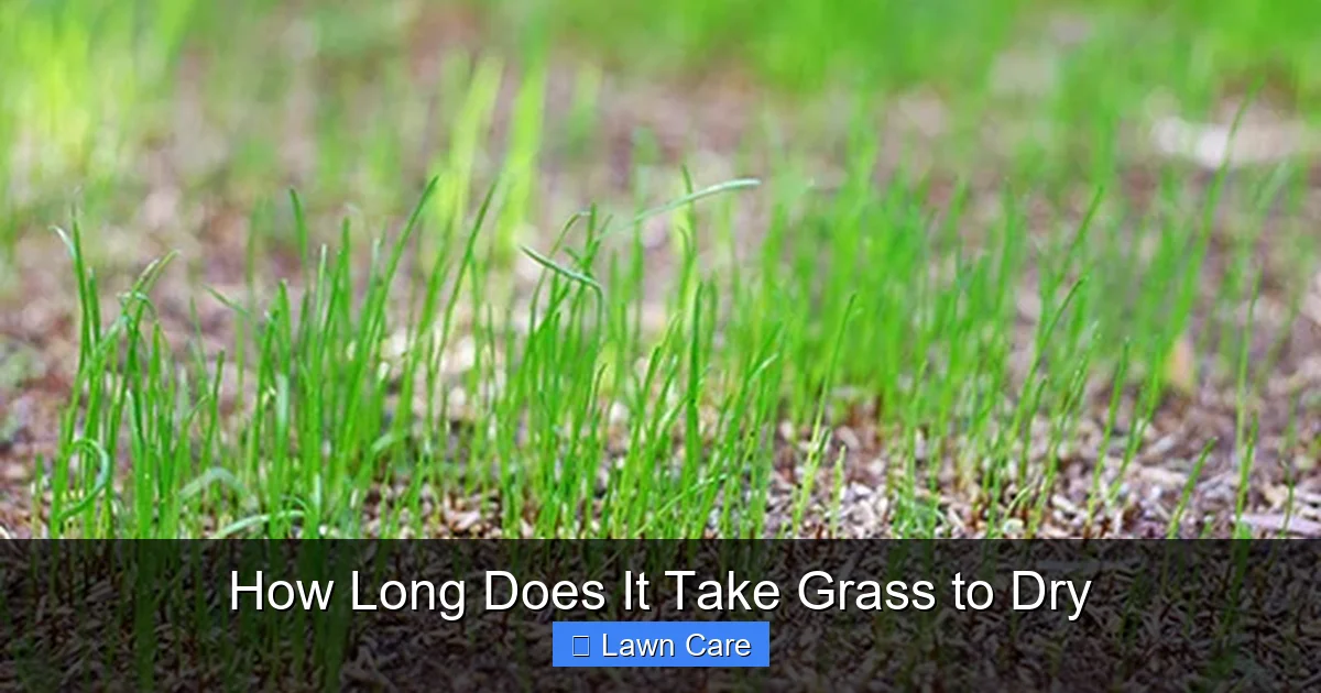 How Long Does It Take Grass to Dry
