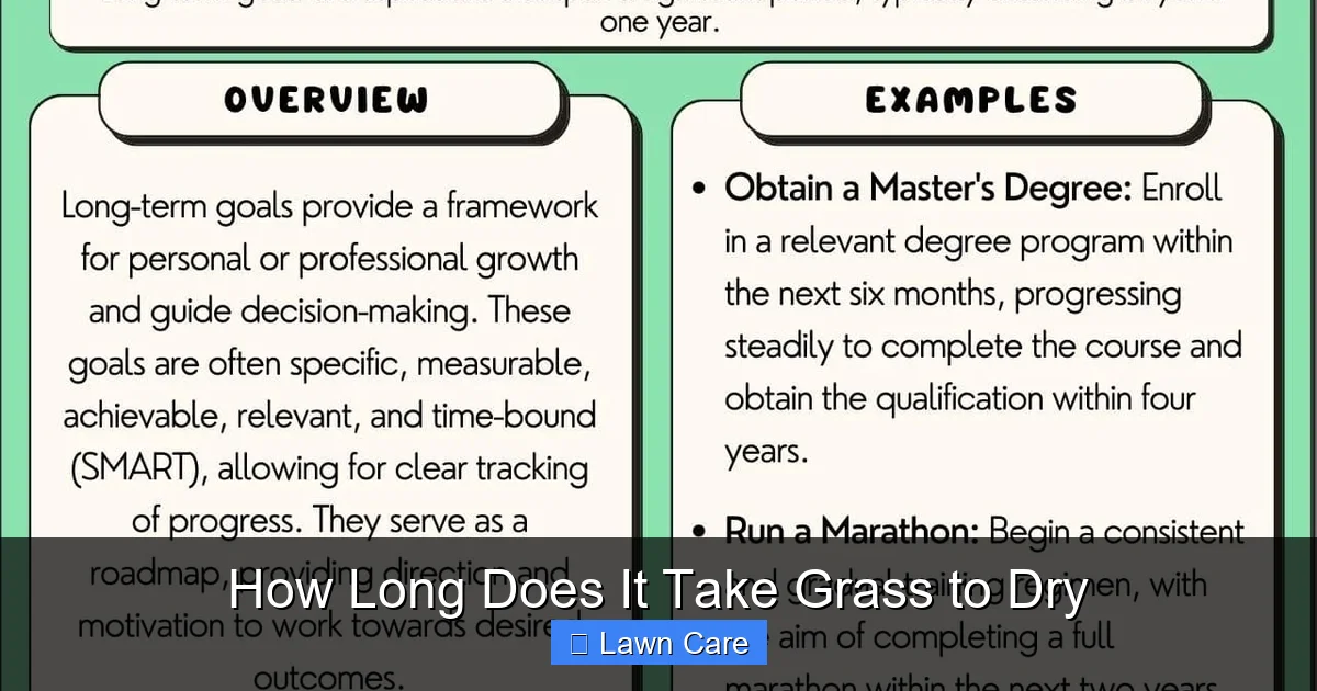How Long Does It Take Grass to Dry