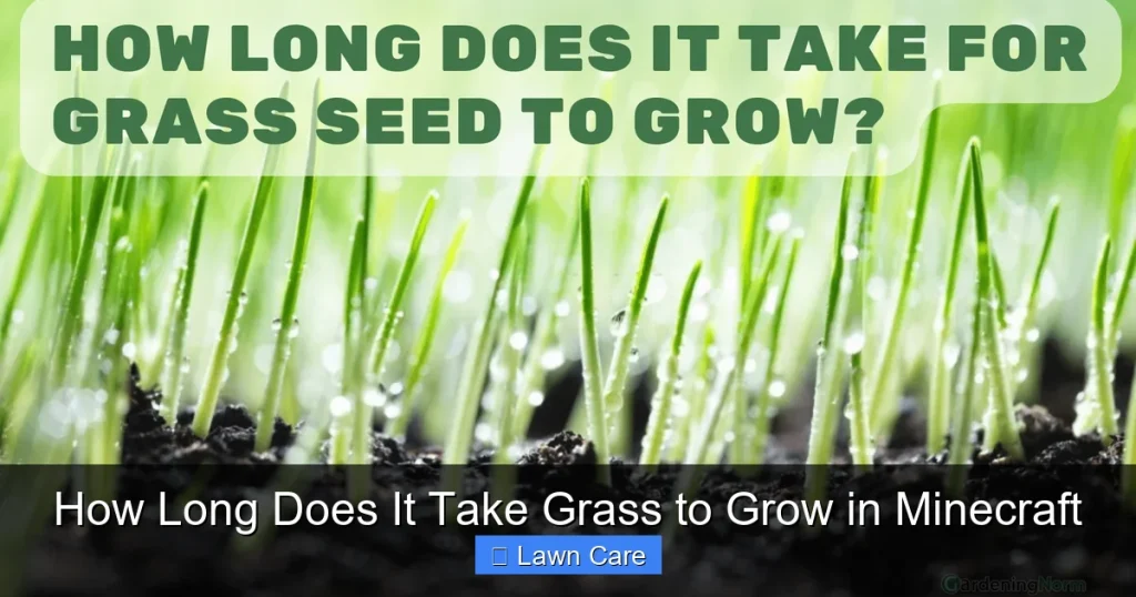 How Long Does It Take Grass to Grow in Minecraft