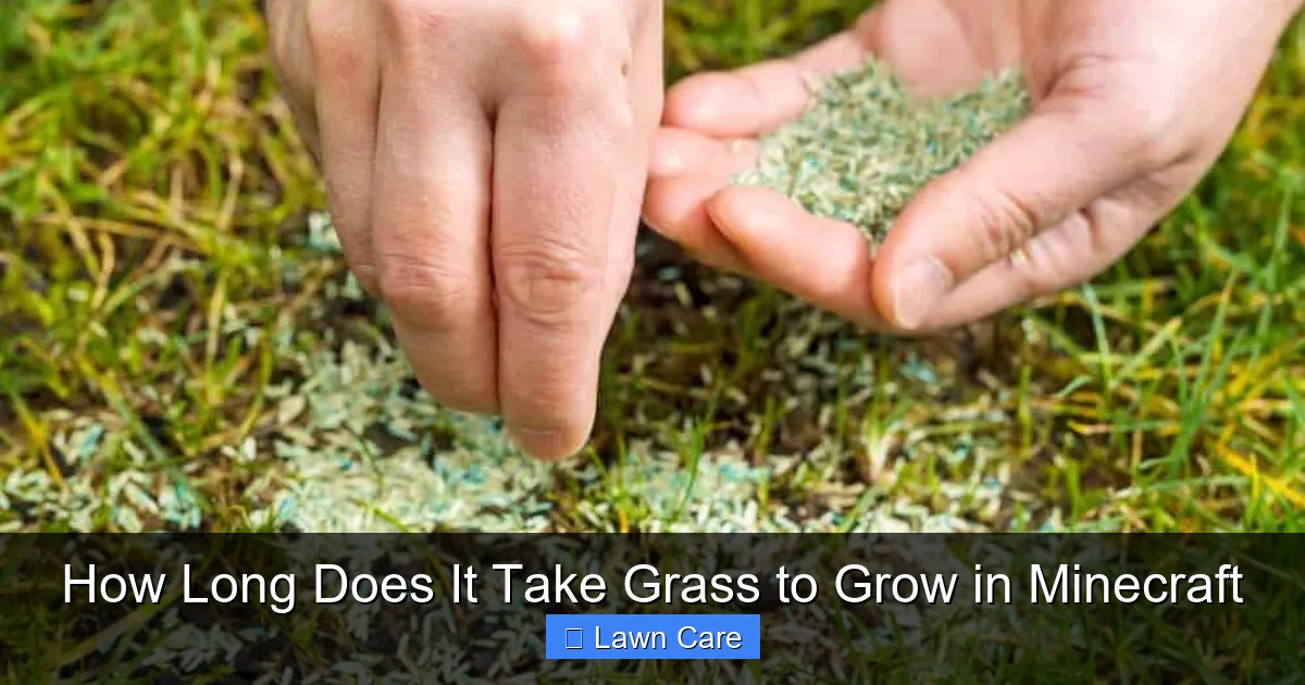 How Long Does It Take Grass to Grow in Minecraft