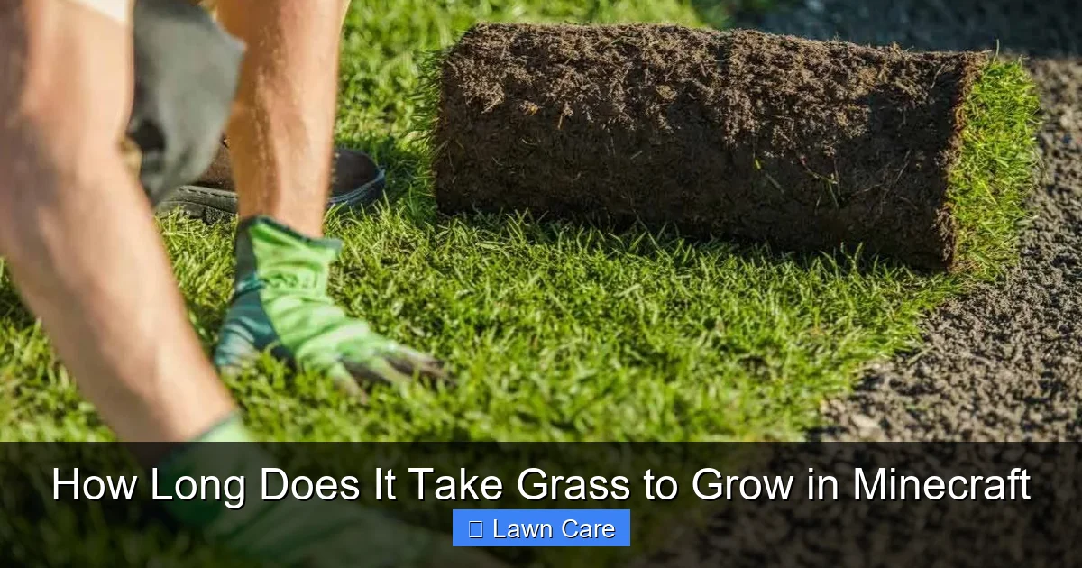 How Long Does It Take Grass to Grow in Minecraft
