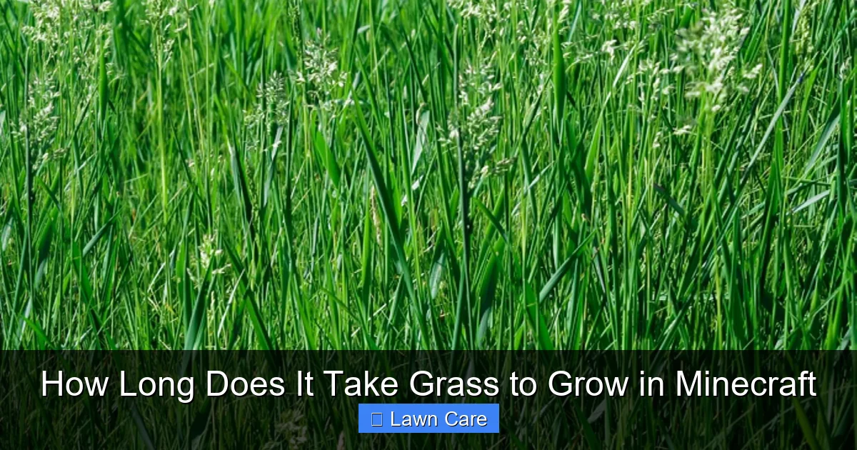 How Long Does It Take Grass to Grow in Minecraft