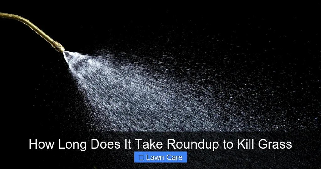 How Long Does It Take Roundup to Kill Grass