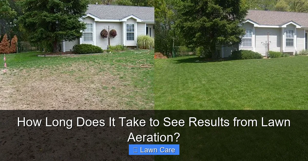 How Long Does It Take to See Results from Lawn Aeration?