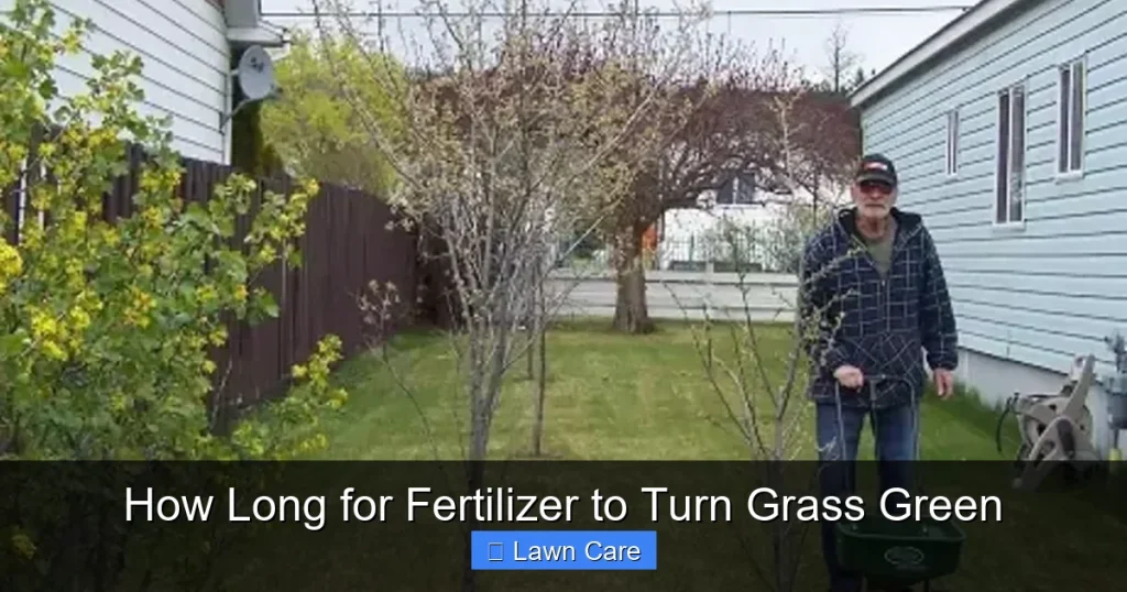 How Long for Fertilizer to Turn Grass Green