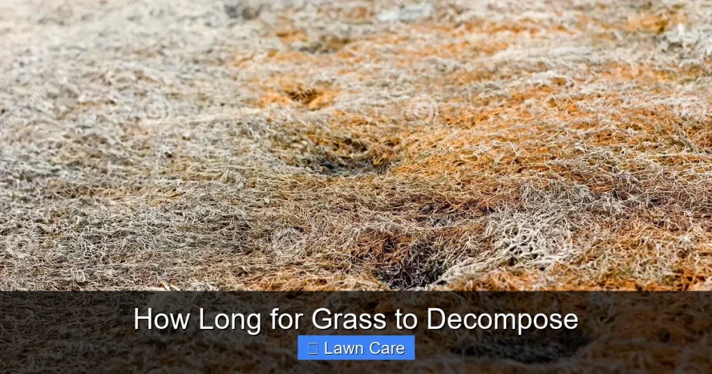 How Long for Grass to Decompose