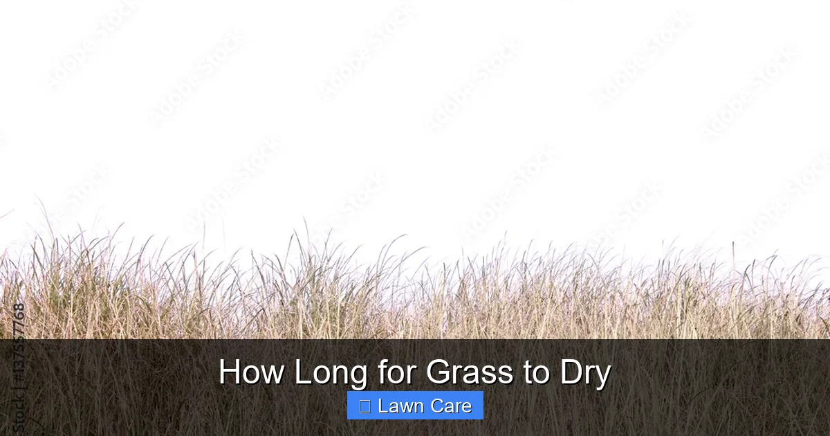 How Long for Grass to Dry