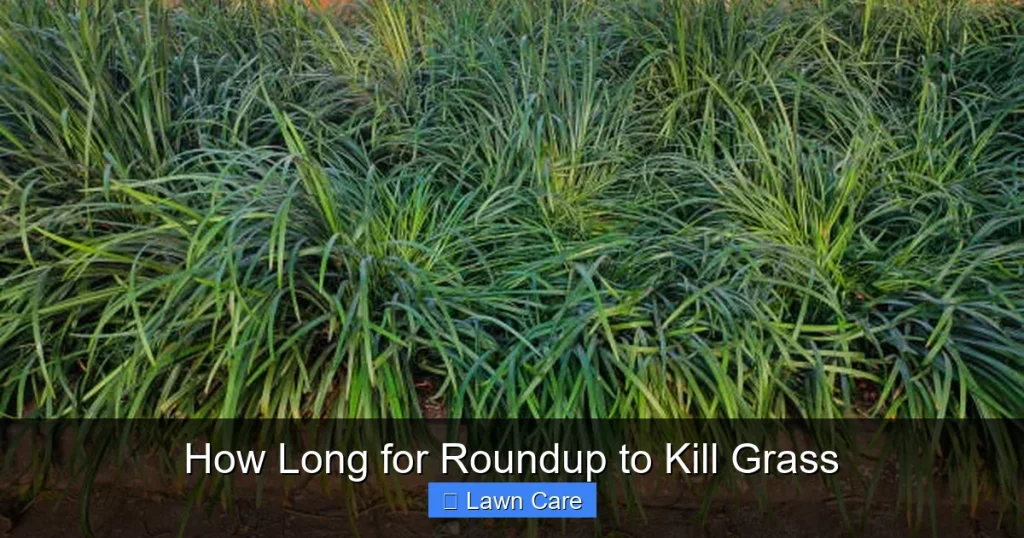 How Long for Roundup to Kill Grass