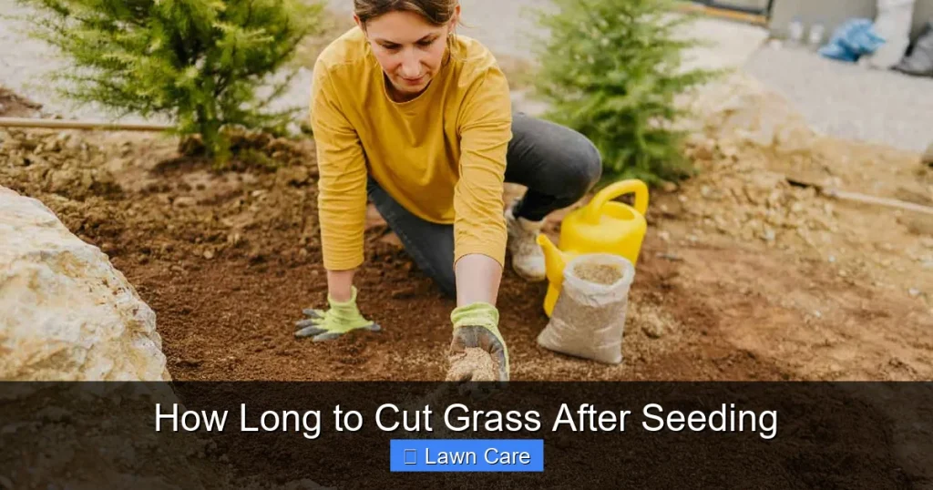 How Long to Cut Grass After Seeding