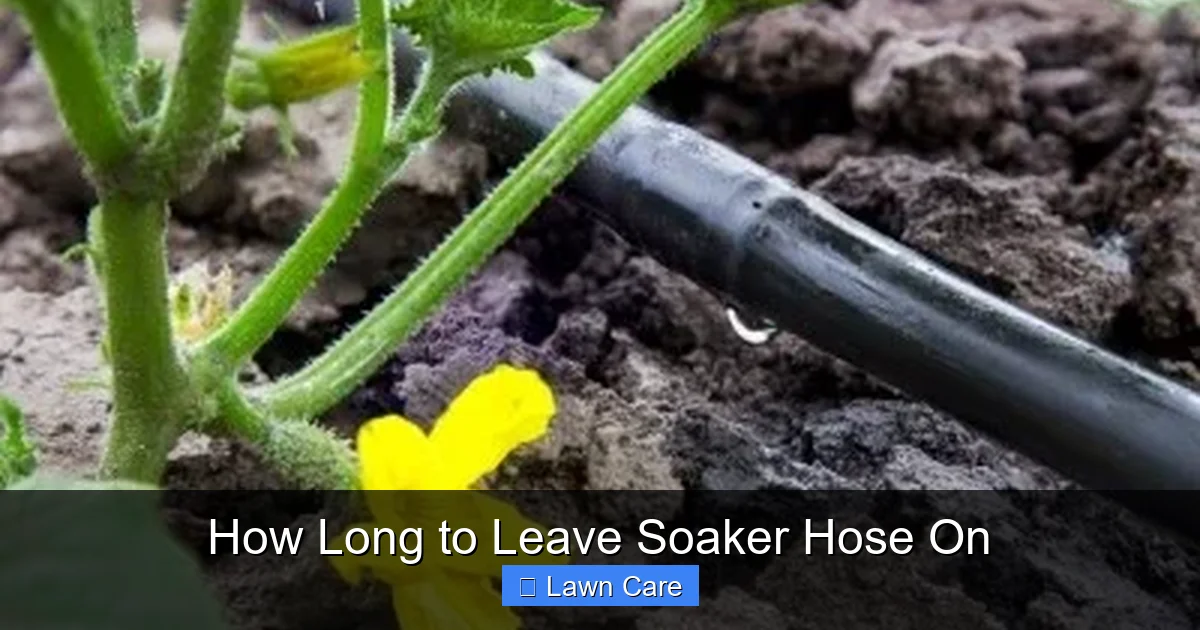 How Long to Leave Soaker Hose On