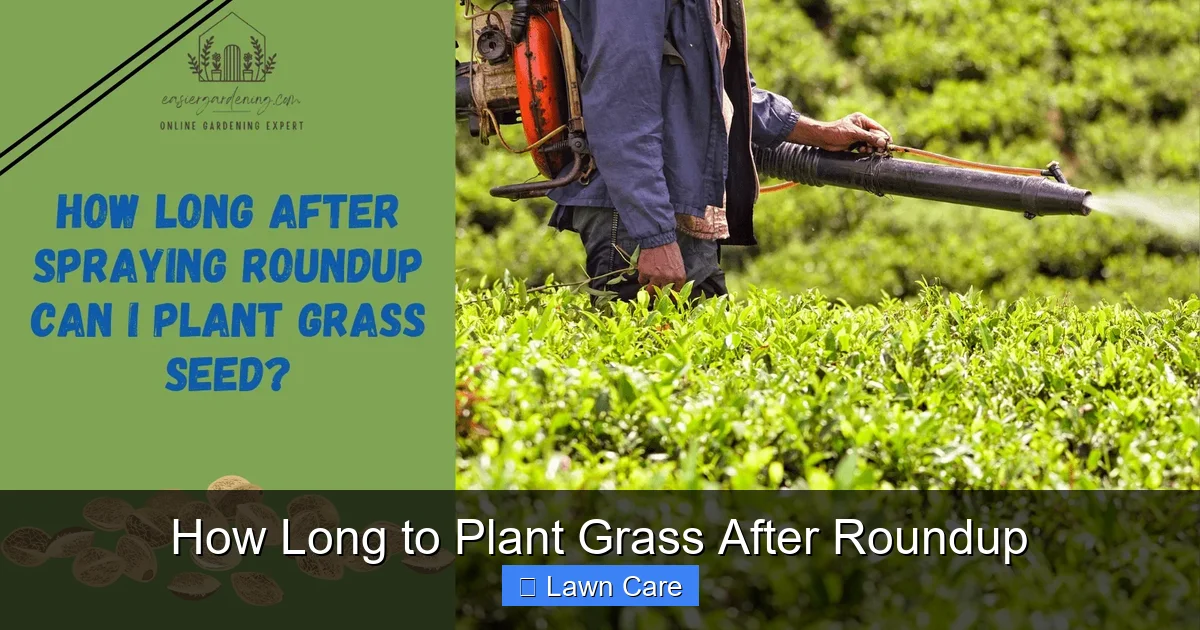 How Long to Plant Grass After Roundup