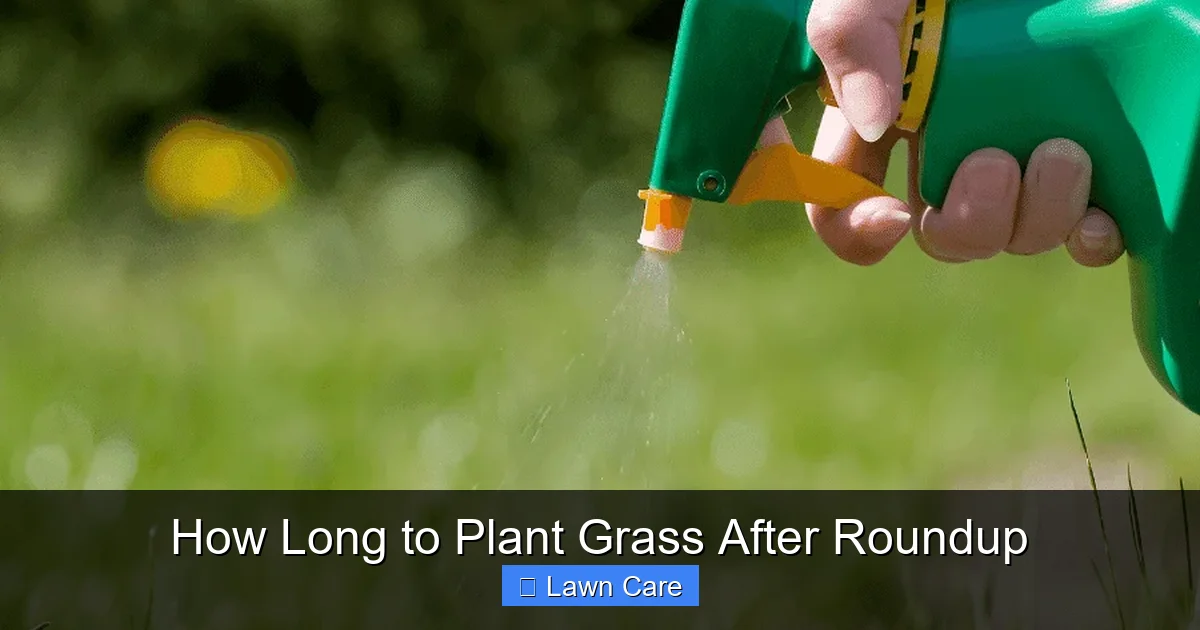 How Long to Plant Grass After Roundup