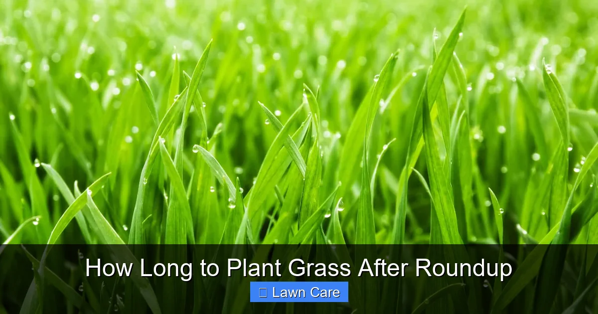 How Long to Plant Grass After Roundup