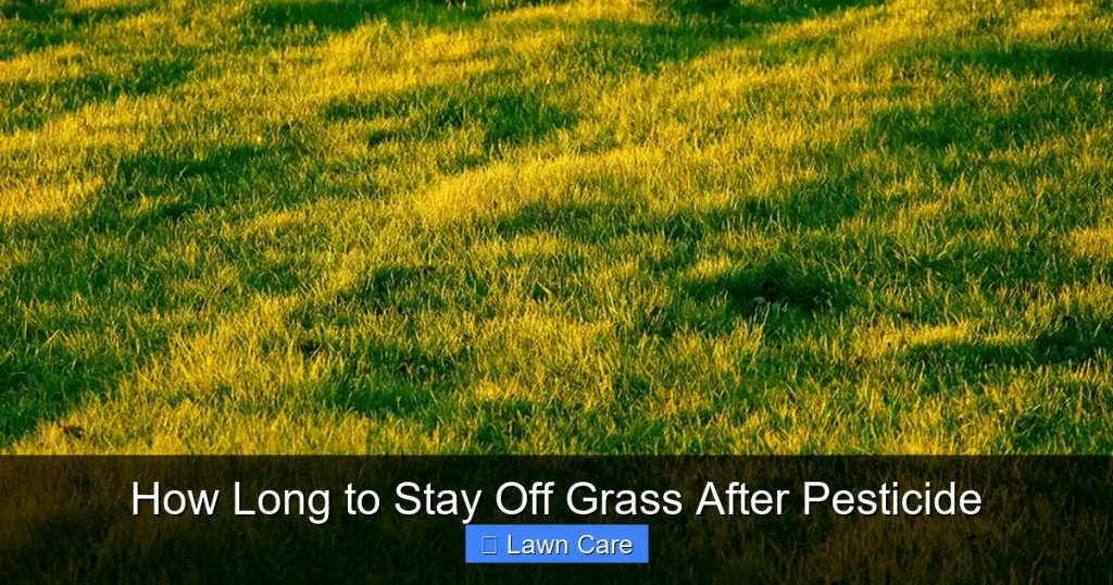 How Long to Stay Off Grass After Pesticide