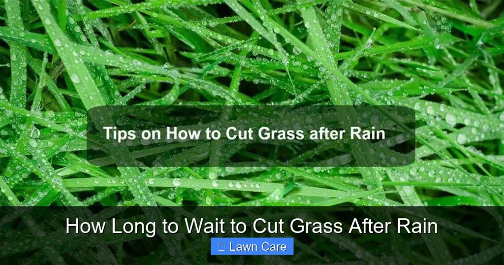 How Long to Wait to Cut Grass After Rain