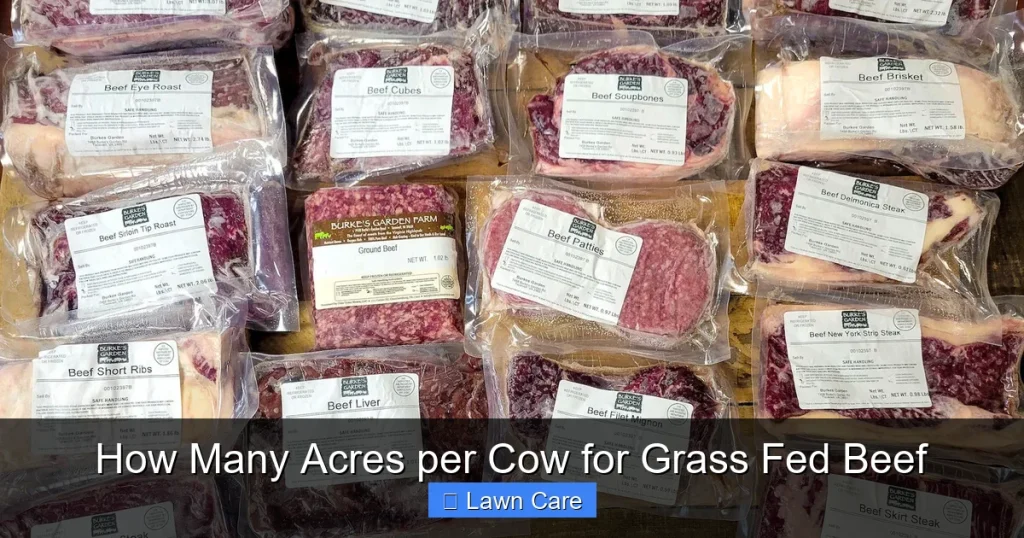 How Many Acres per Cow for Grass Fed Beef