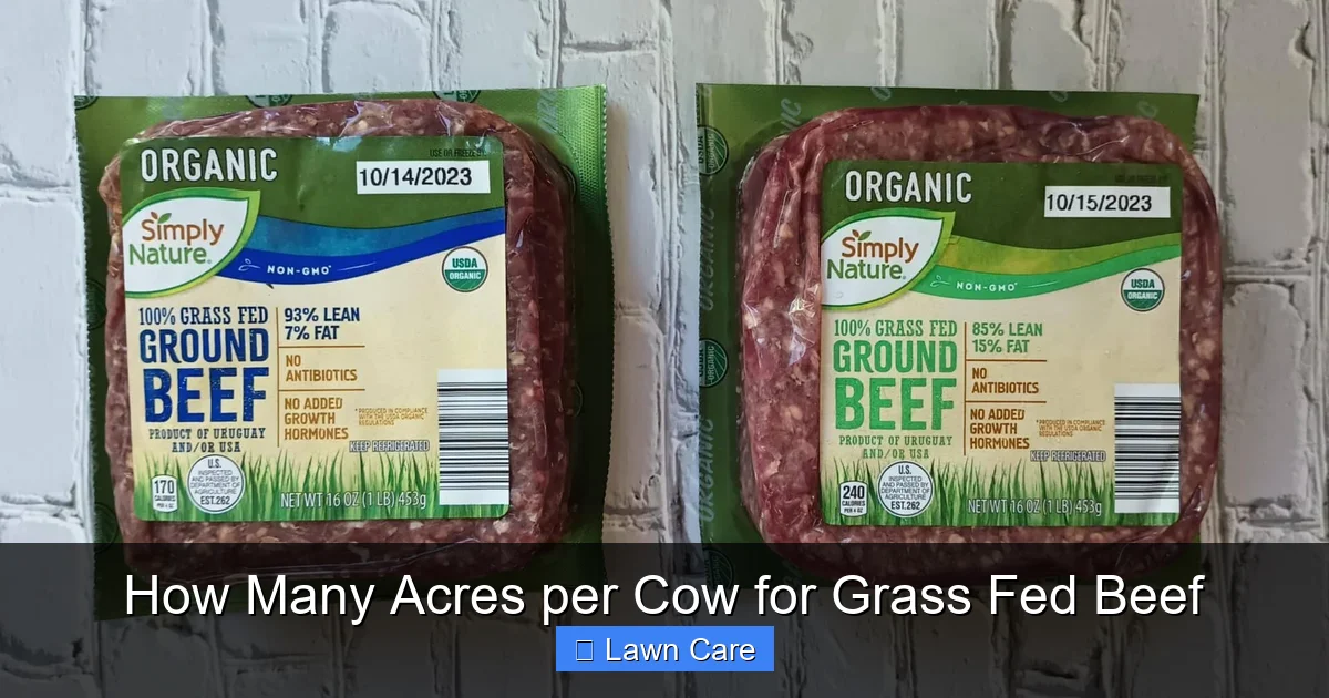 How Many Acres per Cow for Grass Fed Beef