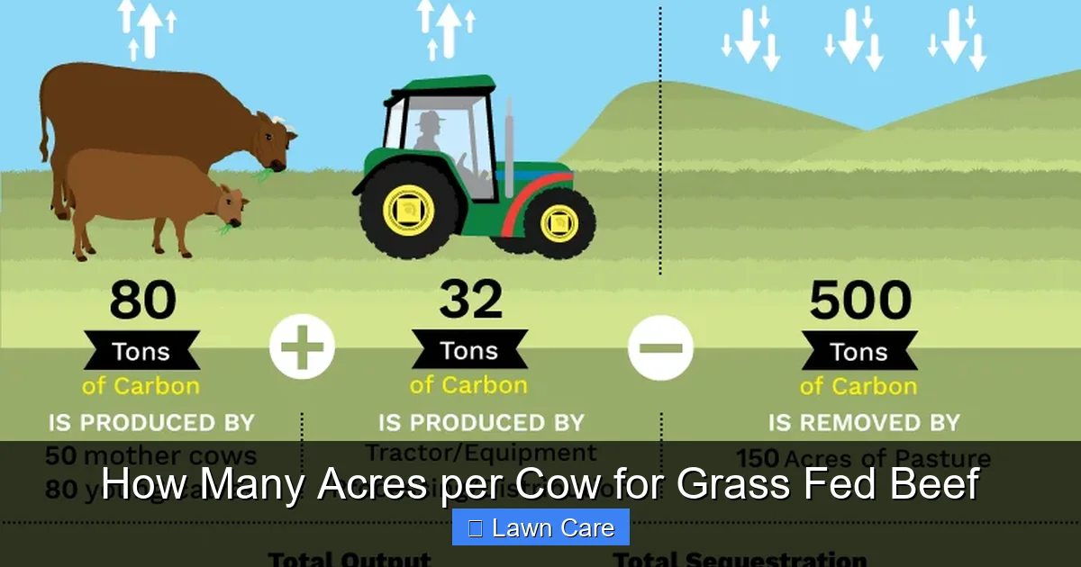 How Many Acres per Cow for Grass Fed Beef