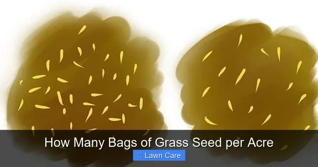 How Many Bags of Grass Seed per Acre