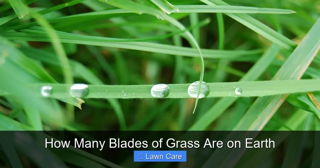 How Many Blades of Grass Are on Earth