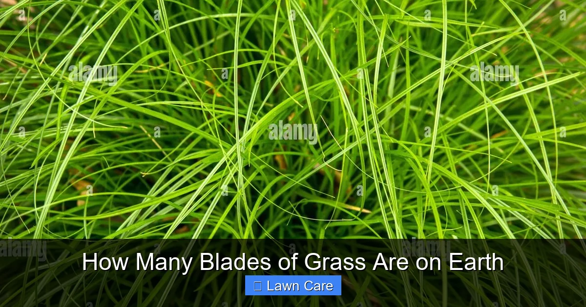 How Many Blades of Grass Are on Earth