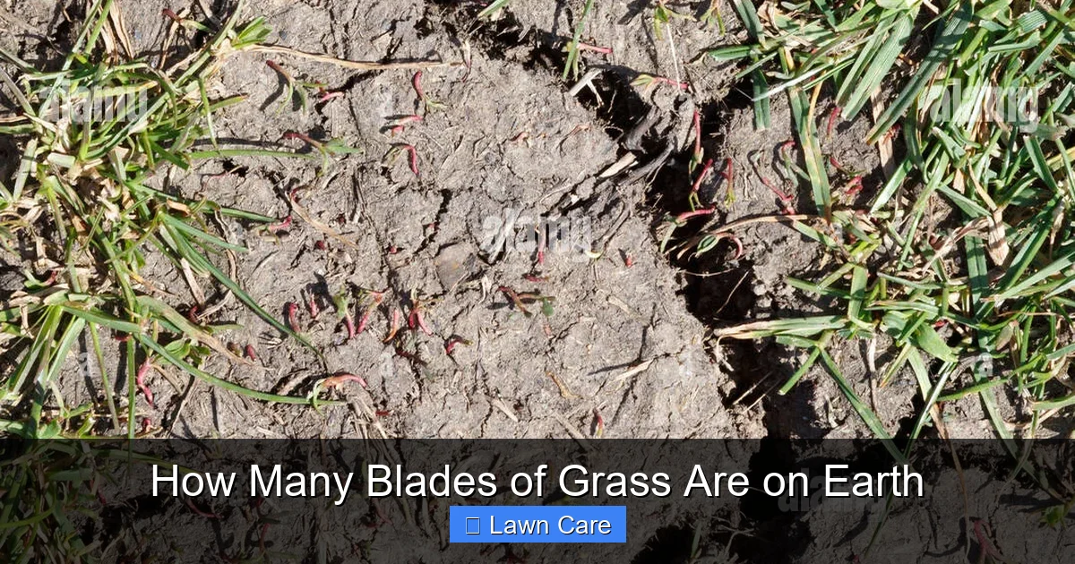 How Many Blades of Grass Are on Earth