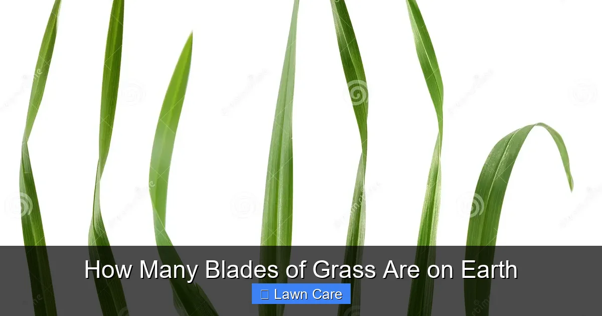 How Many Blades of Grass Are on Earth