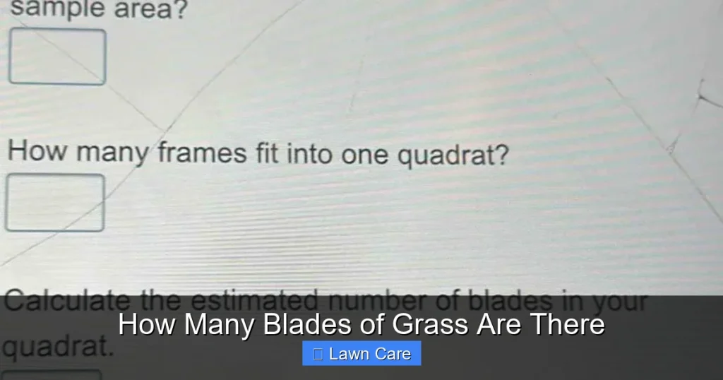 How Many Blades of Grass Are There