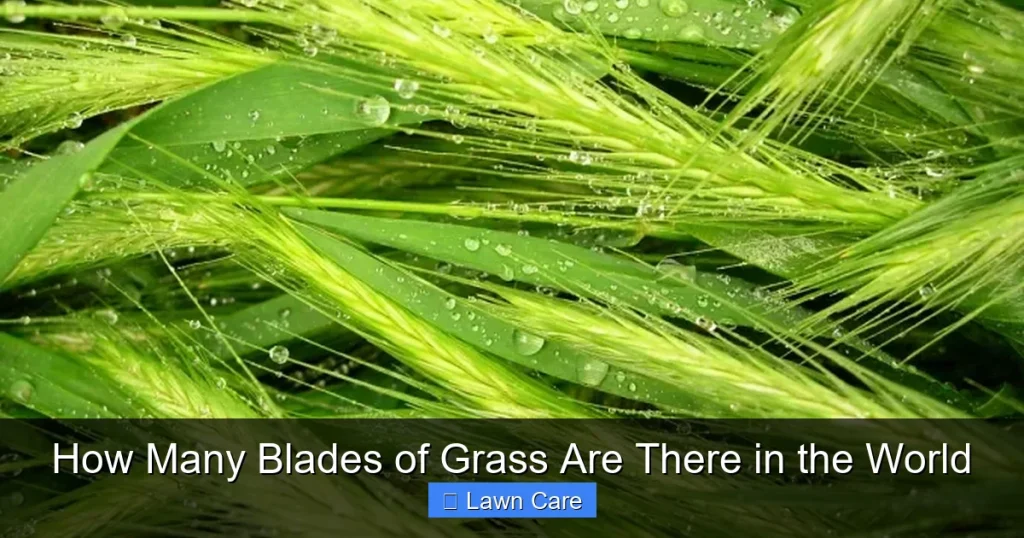 How Many Blades of Grass Are There in the World