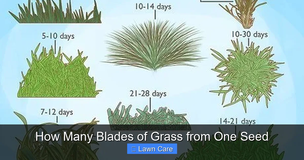 How Many Blades of Grass from One Seed