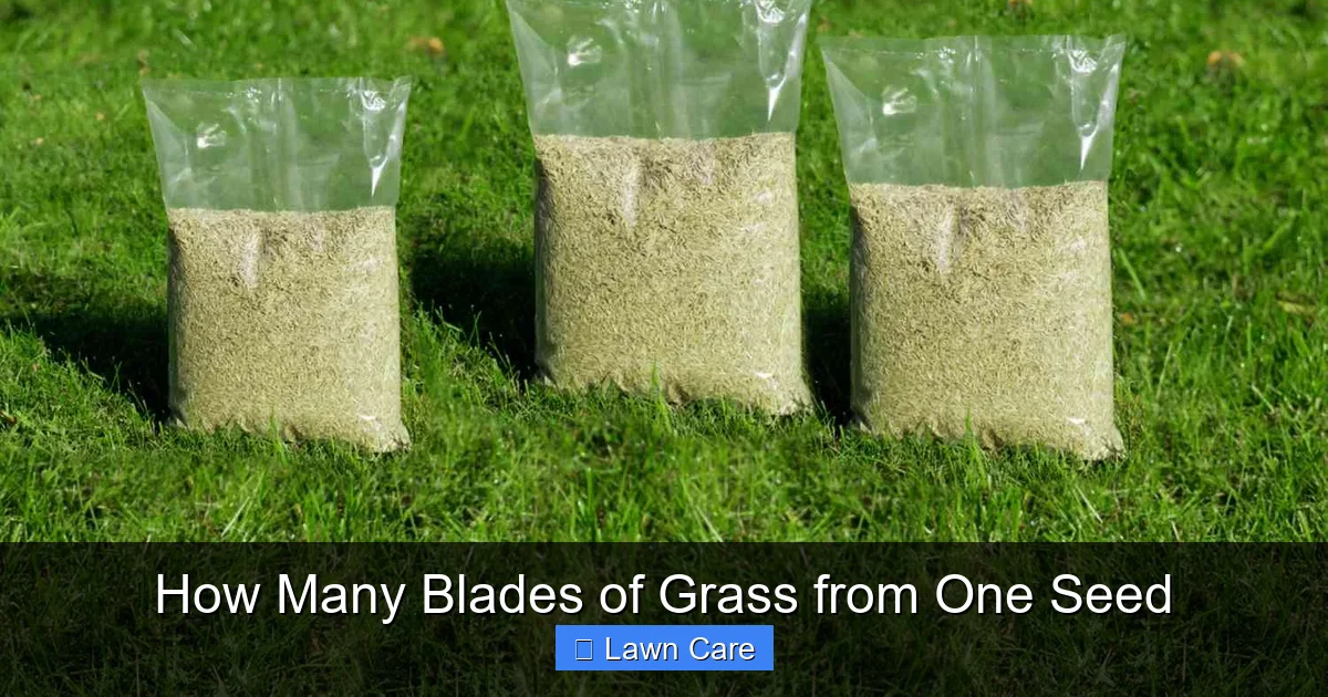 How Many Blades of Grass from One Seed