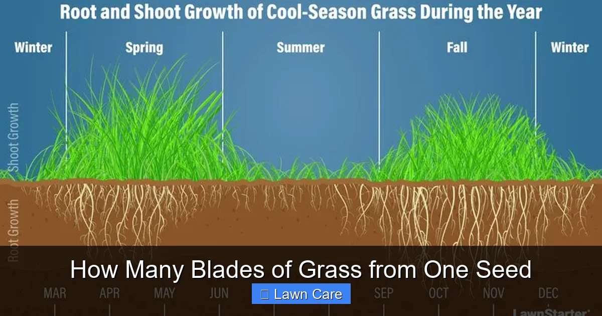 How Many Blades of Grass from One Seed