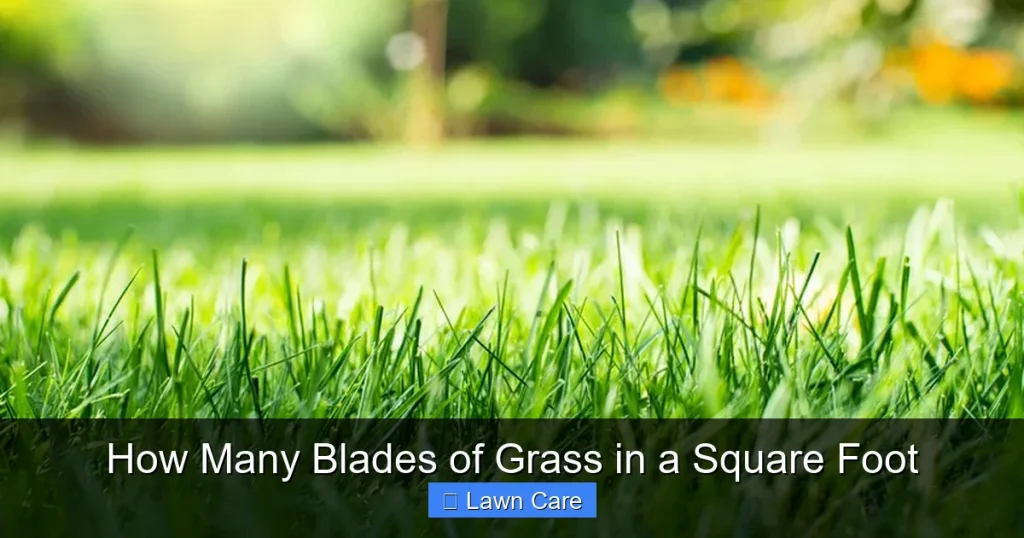 How Many Blades of Grass in a Square Foot
