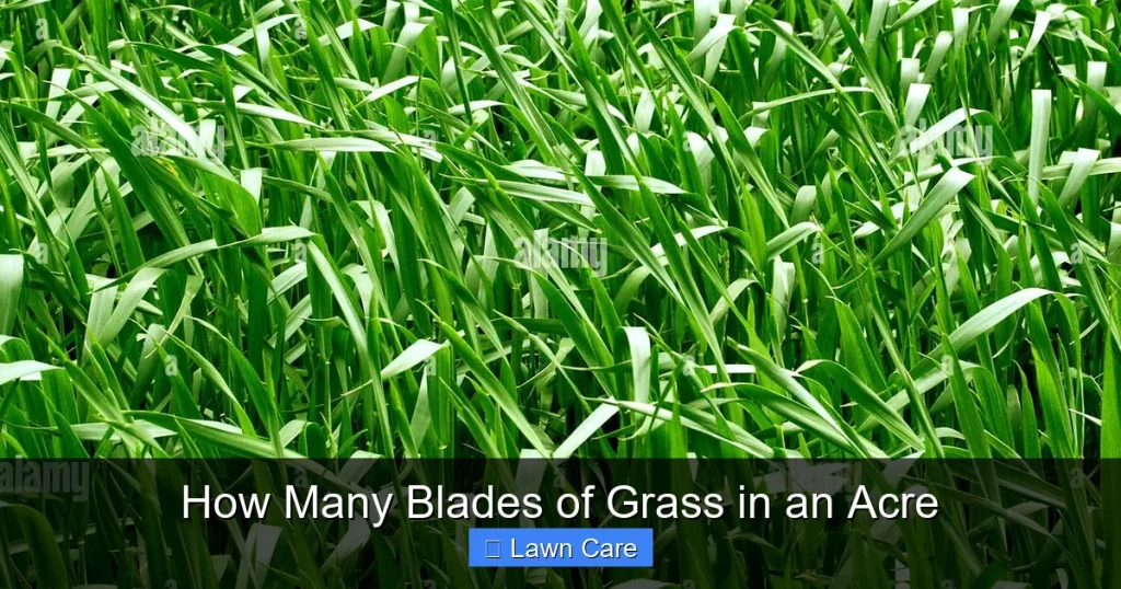 How Many Blades of Grass in an Acre