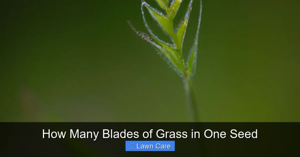 How Many Blades of Grass in One Seed