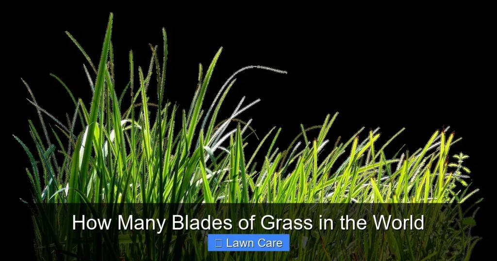 How Many Blades of Grass in the World