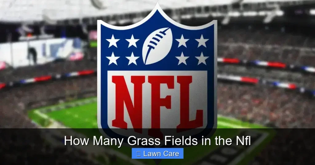 How Many Grass Fields in the Nfl