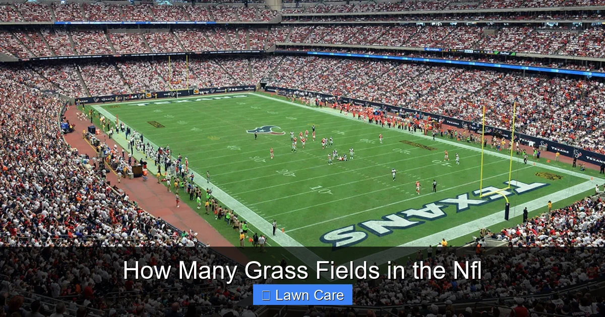 How Many Grass Fields in the Nfl