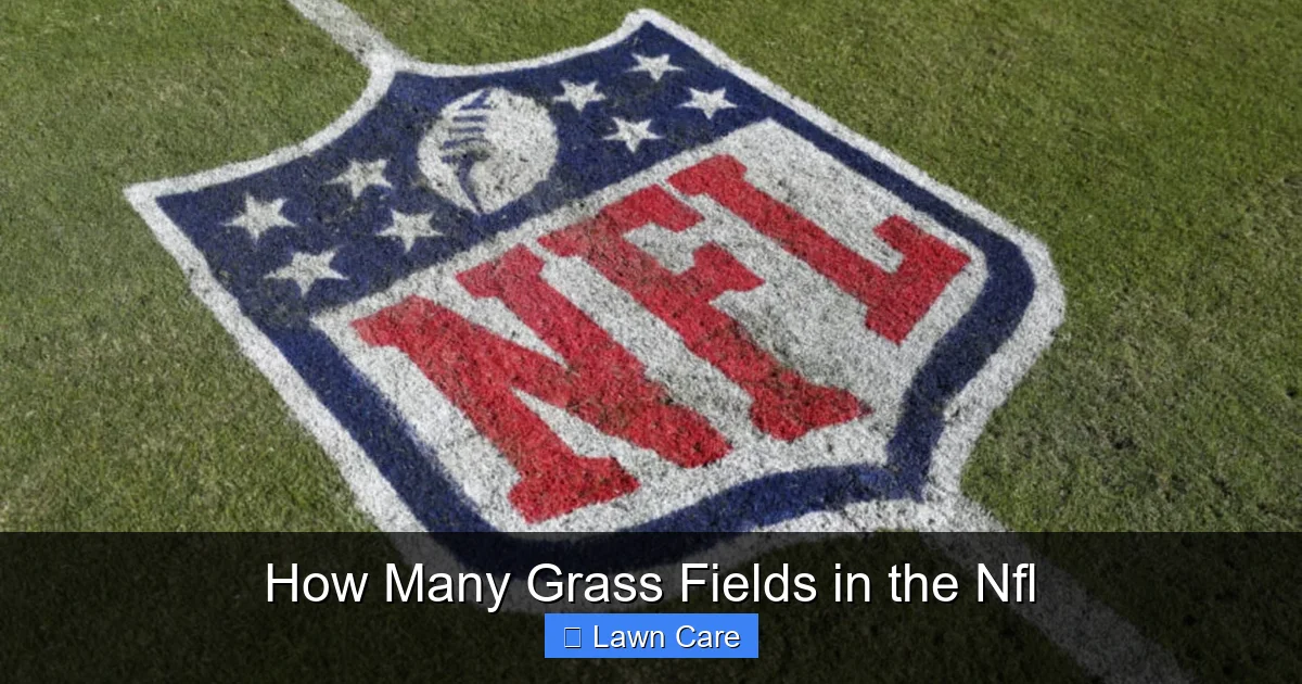 How Many Grass Fields in the Nfl