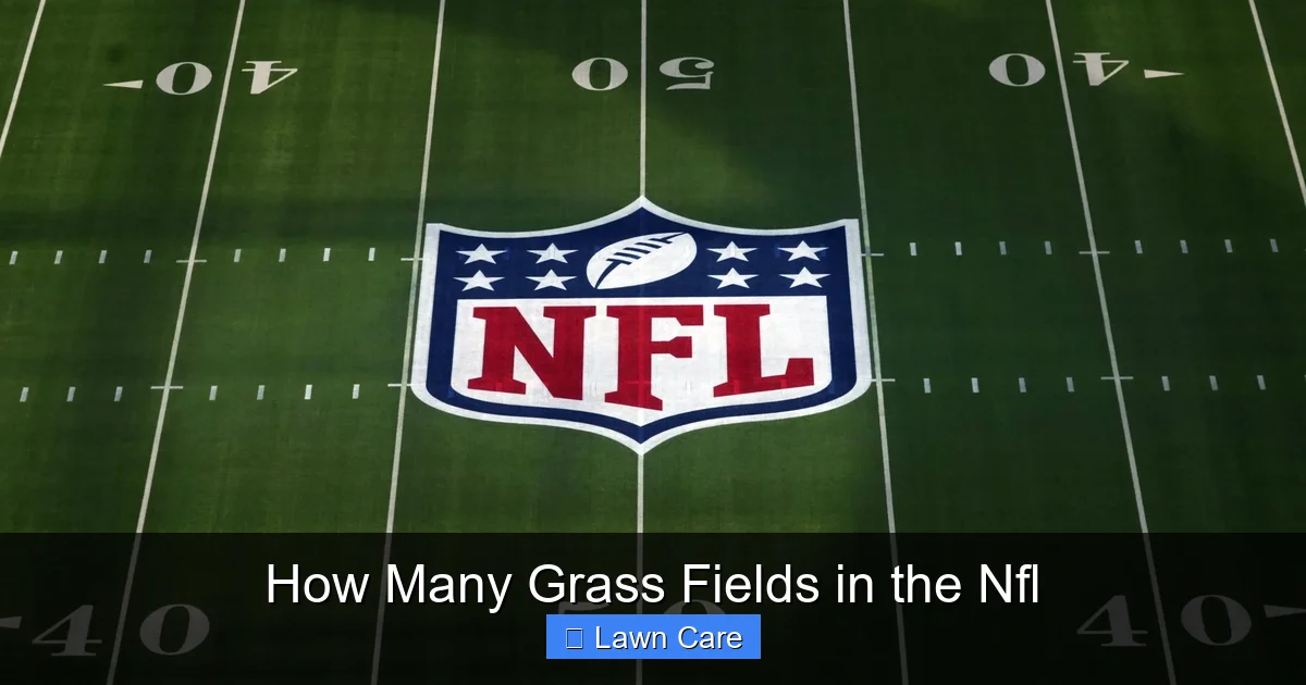 How Many Grass Fields in the Nfl