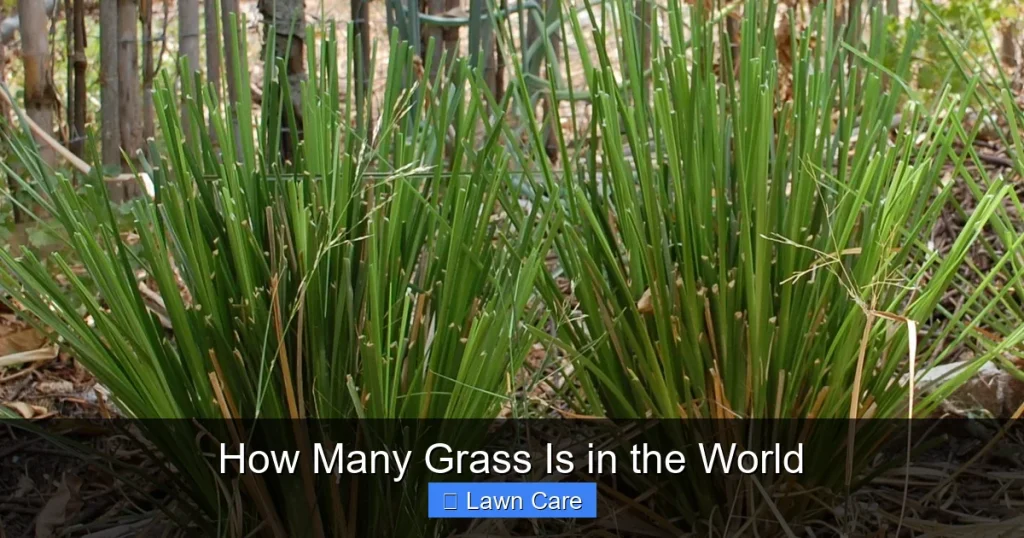 How Many Grass Is in the World
