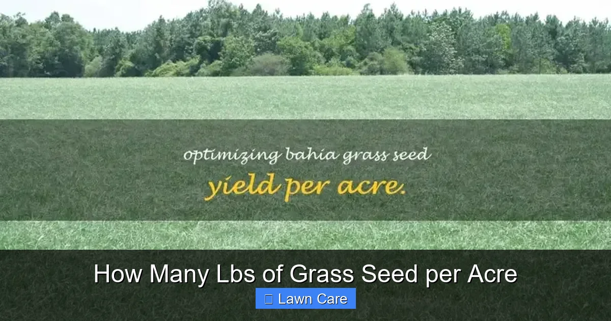 How Many Lbs of Grass Seed per Acre