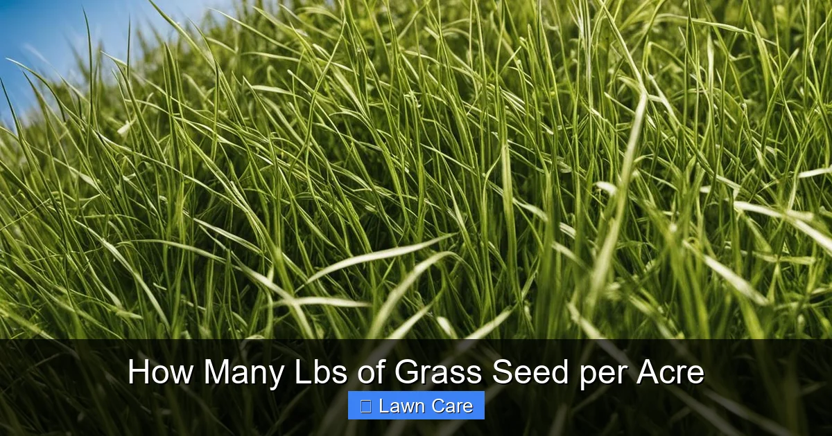 How Many Lbs of Grass Seed per Acre