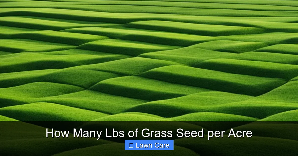 How Many Lbs of Grass Seed per Acre