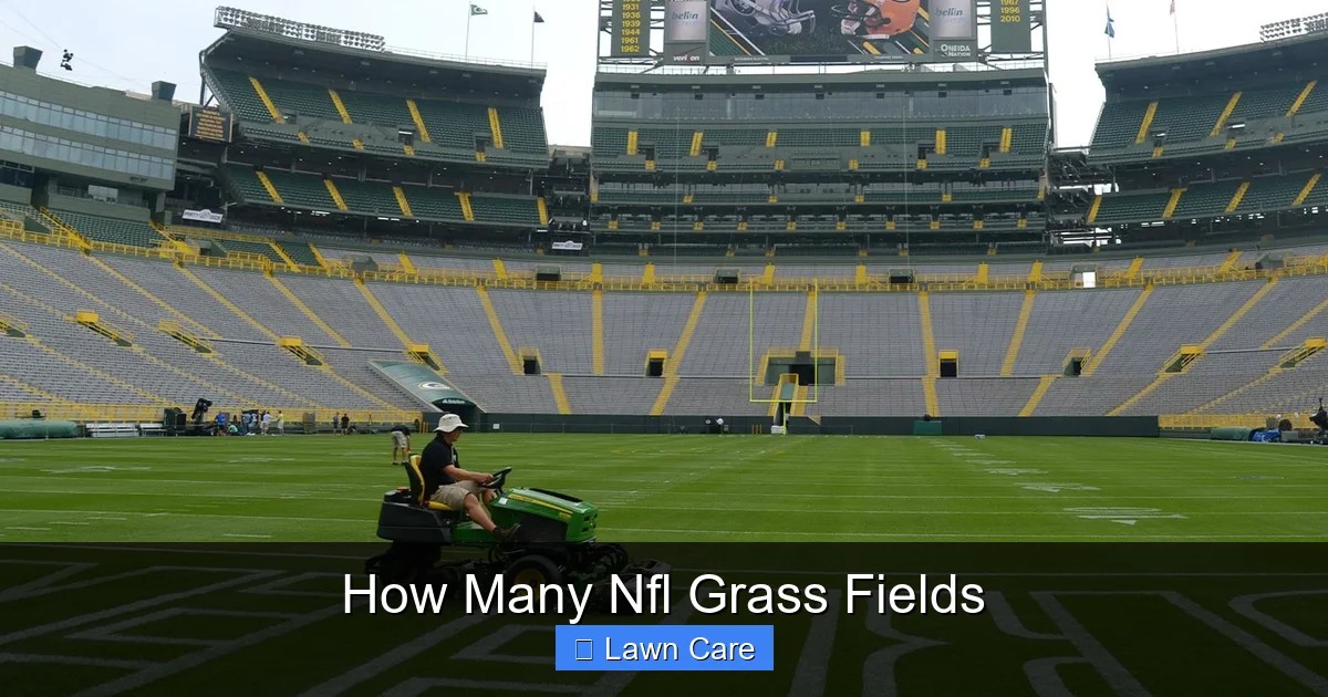 How Many Nfl Grass Fields