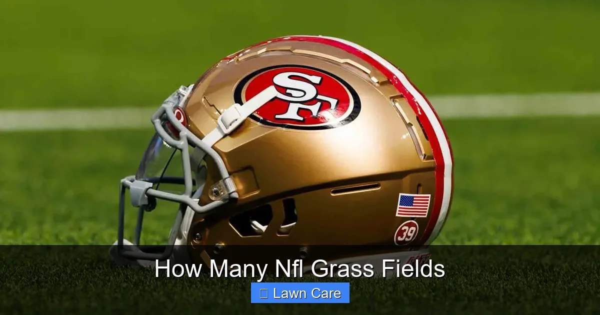 How Many Nfl Grass Fields