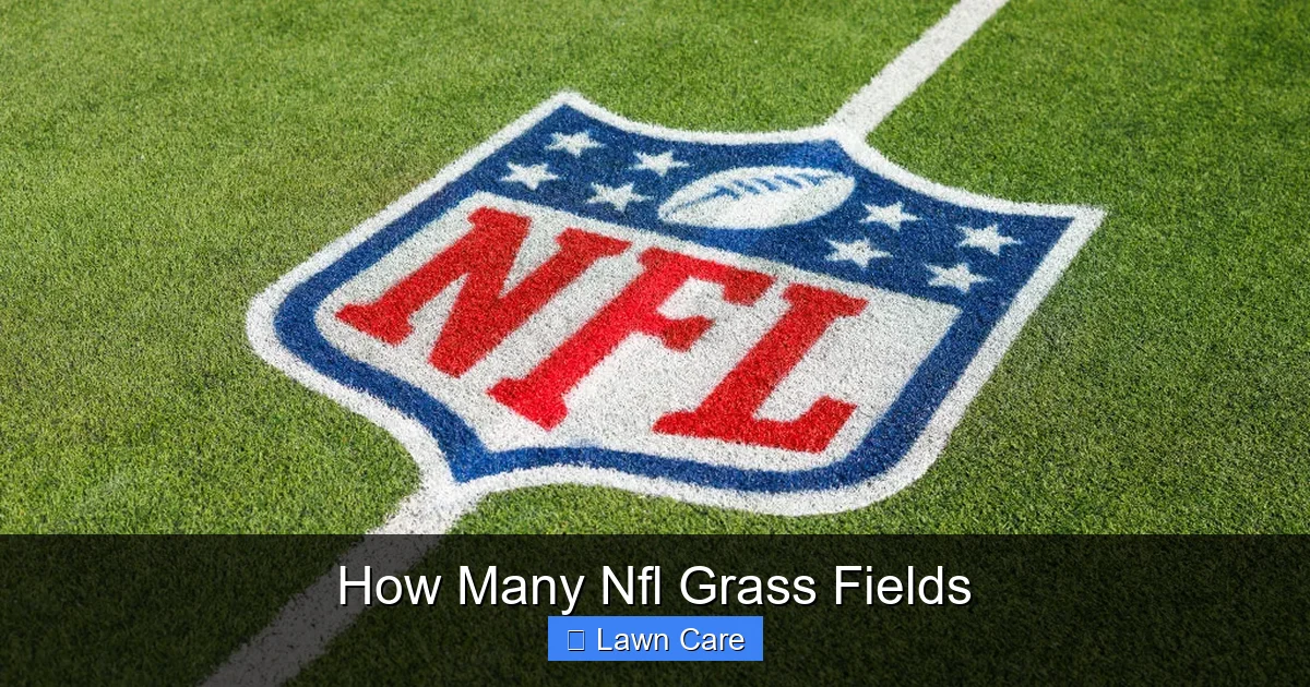 How Many Nfl Grass Fields