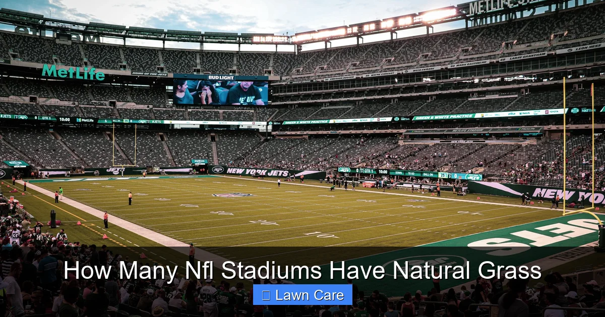How Many Nfl Stadiums Have Natural Grass