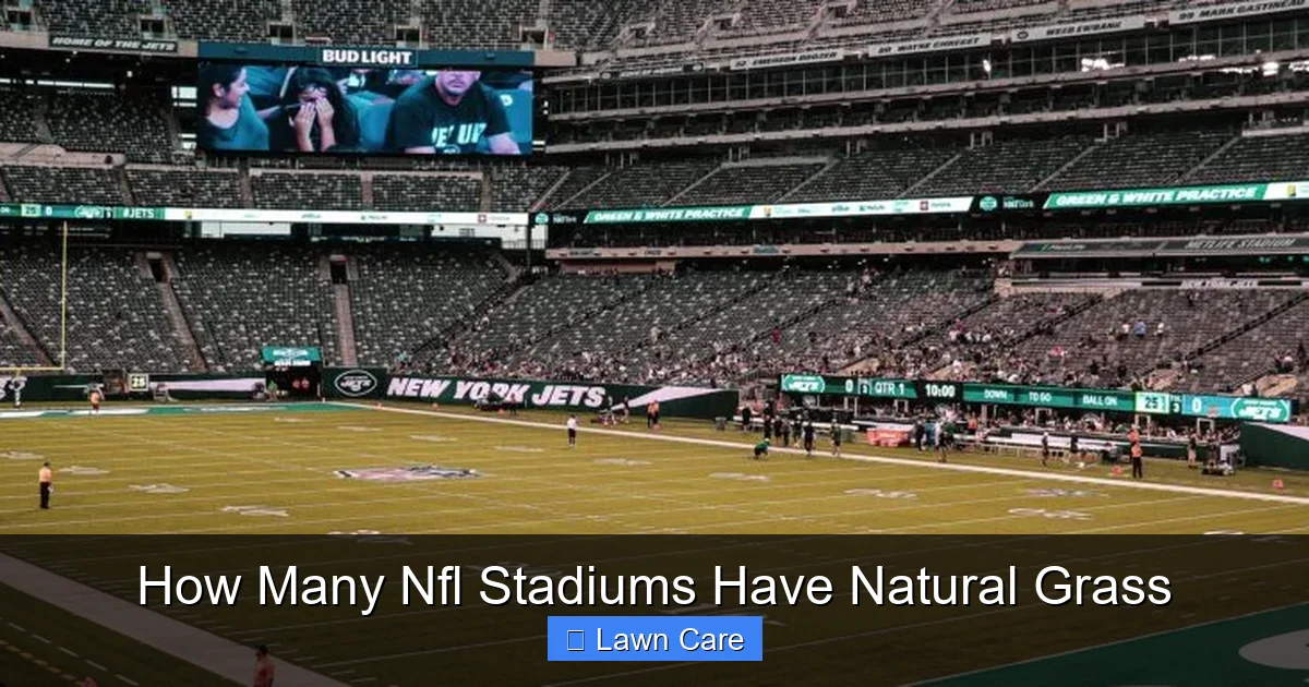 How Many Nfl Stadiums Have Natural Grass