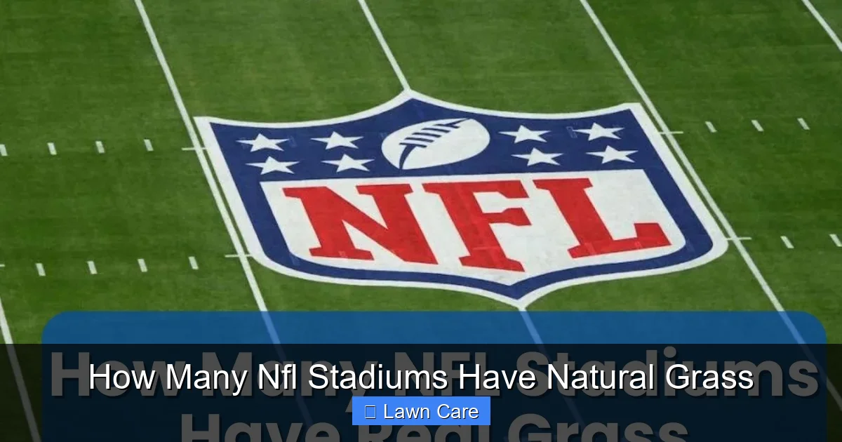 How Many Nfl Stadiums Have Natural Grass
